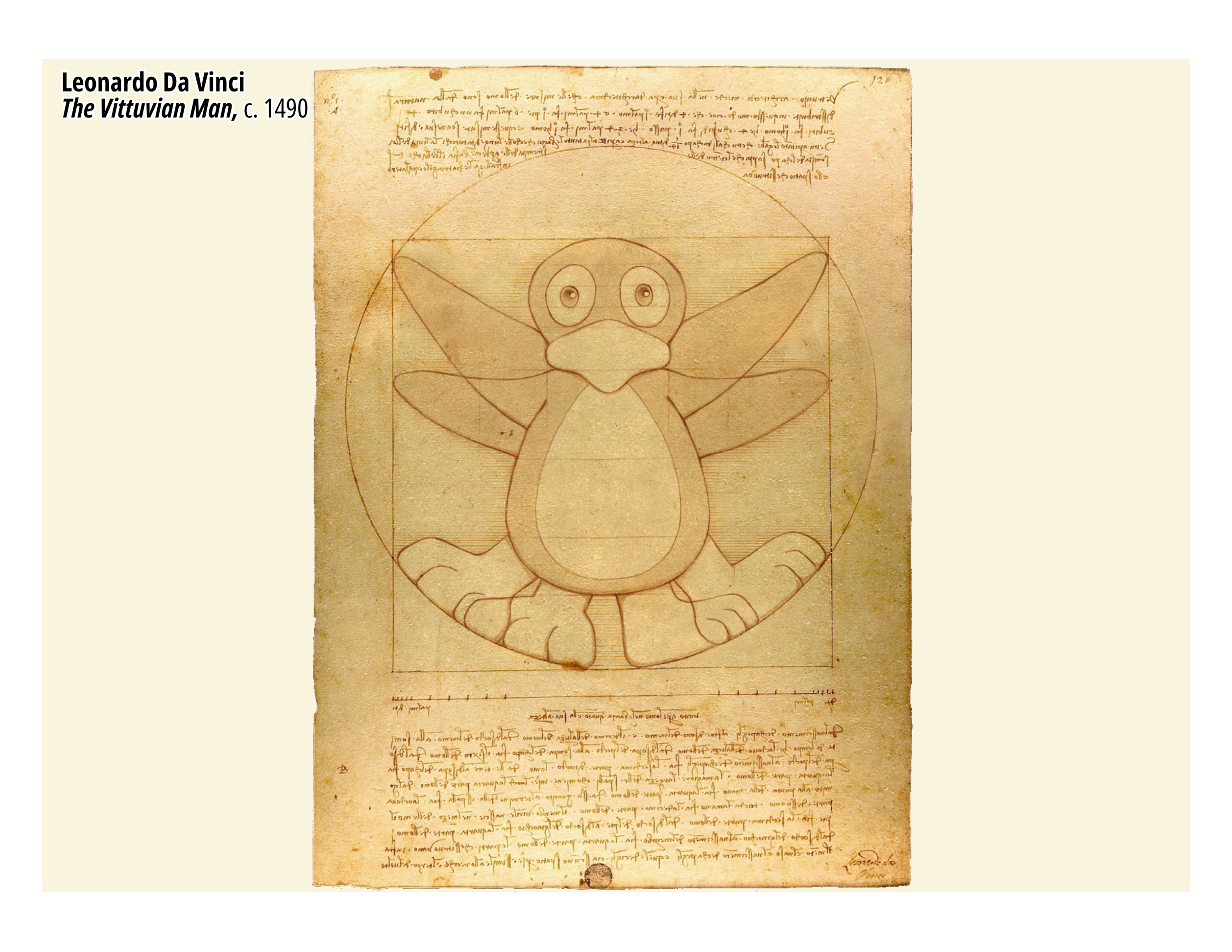 Postcard o JiJi as The Vitruvian Man